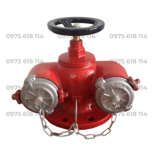 Họng tiếp nước chữa cháy 2 cửa D65